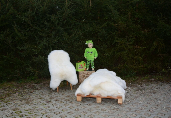 Sonderposten Sweet Baby Lammfelle